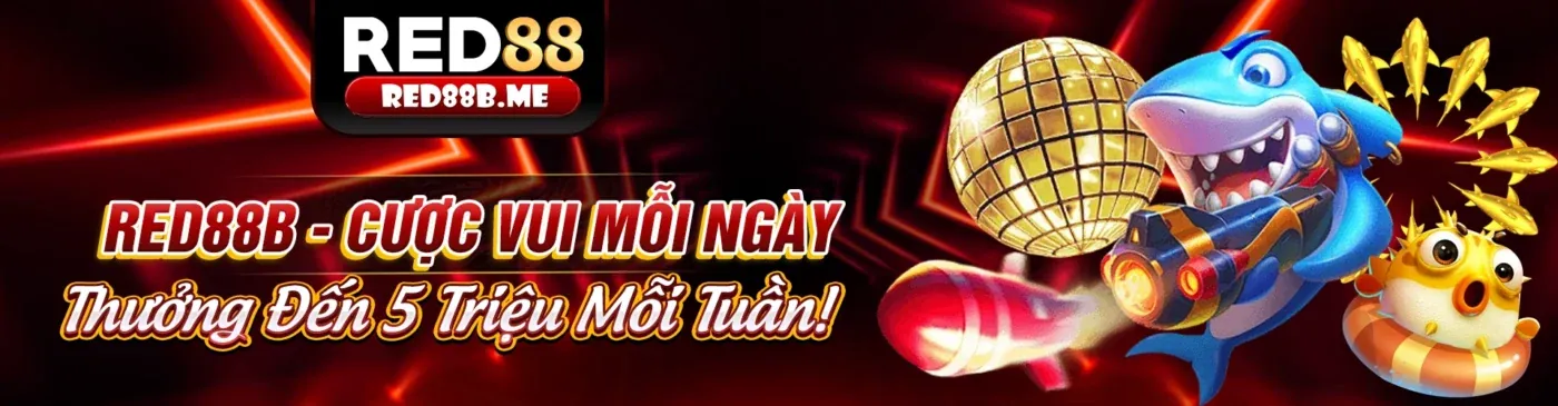 Giao diện người dùng thân thiện của ứng dụng b66