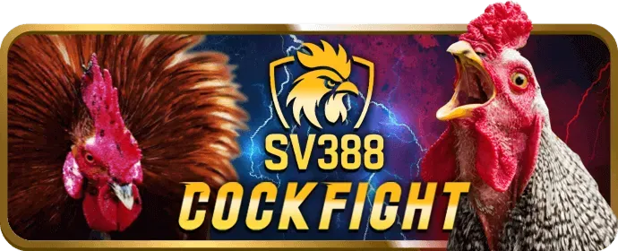 Ưu đãi chào mừng thành viên mới b66 link vào